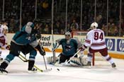 sharks_coyotes5