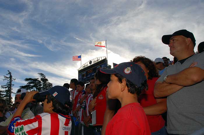 chivas8