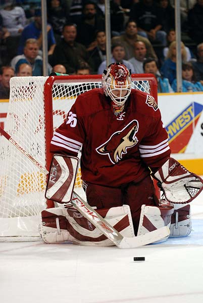 sharks_coyotes20