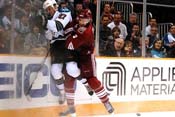 sharks_coyotes17