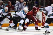 sharks_coyotes25