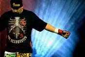 strikeforce33