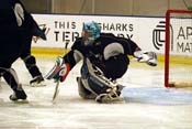 training_camp16