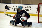 training_camp7