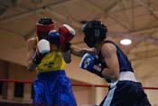 scu_boxing3