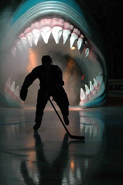 sharks_caps1