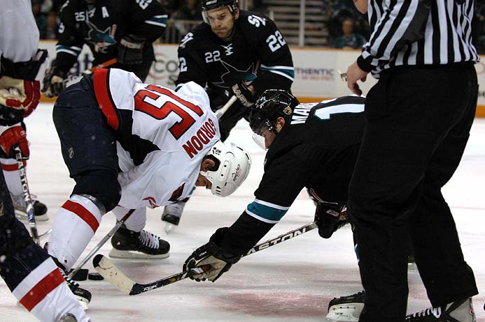 sharks_caps23