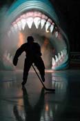 sharks_caps1