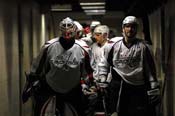 sharks_caps14