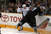 sharks_caps18