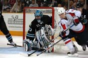 sharks_caps19