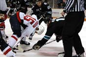 sharks_caps23