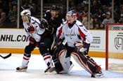 sharks_caps9