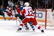 sharks_detroit11