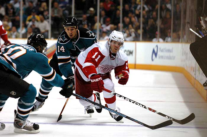 sharks_detroit6