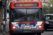 7sharks_flames_fans12