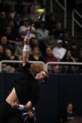 sap_open14