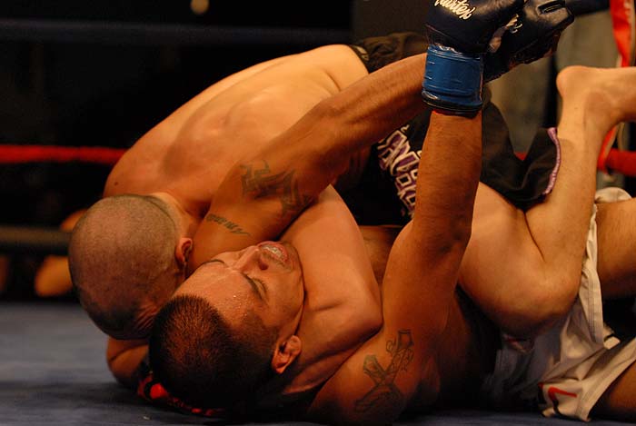 playboy_kickboxing51