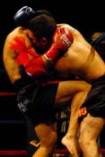 playboy_kickboxing4