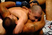 playboy_kickboxing46