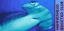 Hammerhead Booster Club
