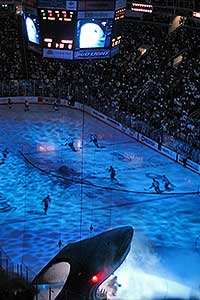 A playoff Shark emerges