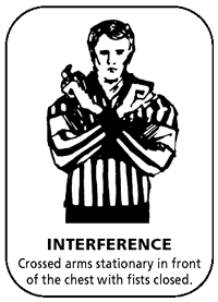 Image result for hockey interference