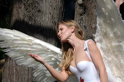 2006 Tour of California