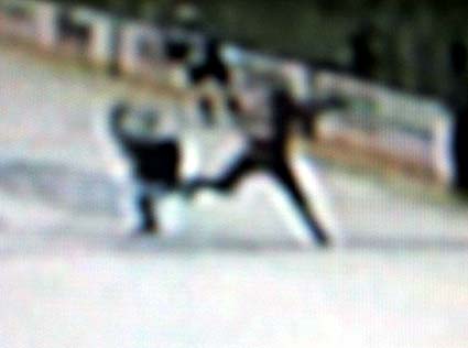 Cheechoo Hartnell knee hit