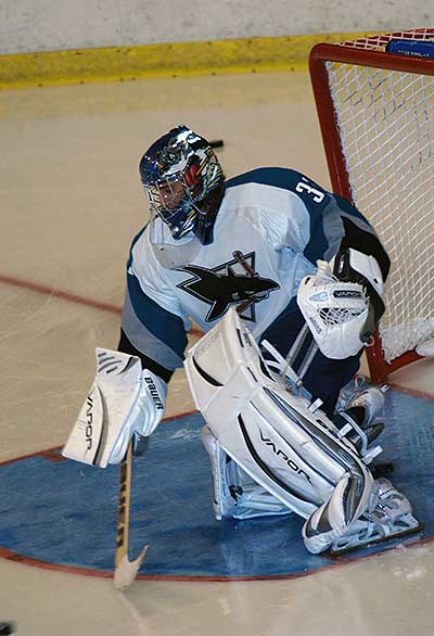 33845769.ehelechner2