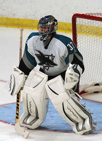 33896503.ehelechner1