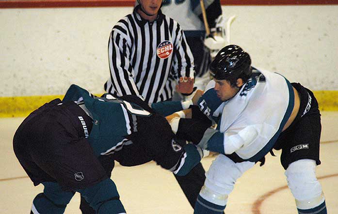 33897302.day2game2_7