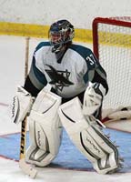 33896503.ehelechner1